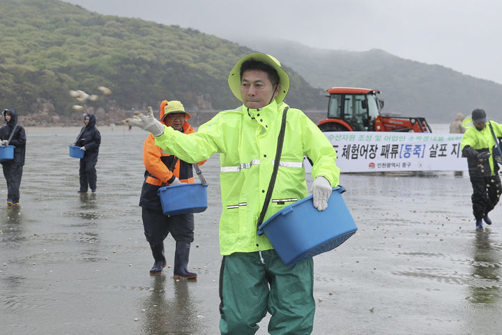 [인천=뉴시스] 지난 1일 인천 용유무 어촌 체험어장에서 동죽을 살포하고 있다. (사진=중구 제공) 2025.05.02. photo@newsis.com *재판매 및 DB 금지