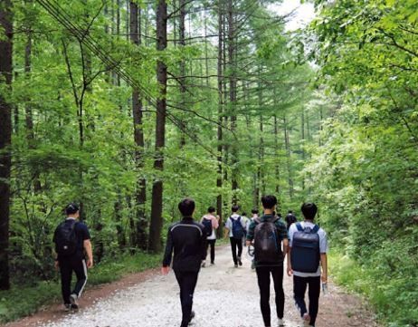 [대전=뉴시스] 경북 울진 소광리 임도.(사진=산림청 제공) *재판매 및 DB 금지