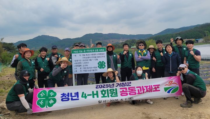 [거창=뉴시스] 거창군 4H연합회 공동과제포 고구마 정식 (사진=거창군 제공) 2025. 05. 02. photo@newsis.com&nbsp; *재판매 및 DB 금지
