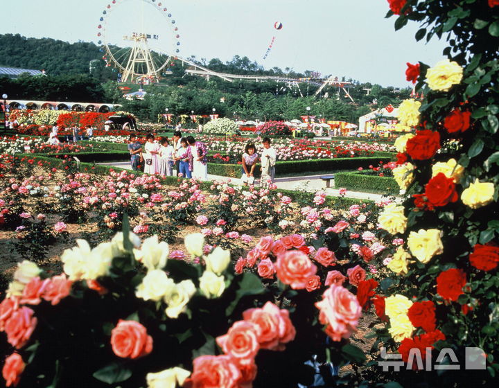 [서울=뉴시스] 1987년 에버랜드 장미축제 현장 모습. (사진= 삼성물산 리조트부문 제공) photo@newsis.com