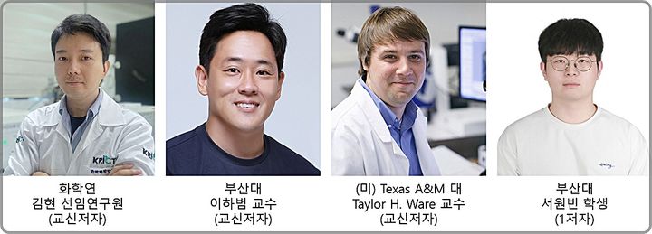 [대전=뉴시스] 물속에서 빛으로 움직이는 소프트 로봇용 인공근육을 개발해 국제학술지에 발표한 연구진. 왼쪽부터 화학연 김현 선임연구원(교신저자), 부산대 이하범 교수(교신저자), 미국 Texas A&M대 Taylor H. Ware 교수(교신저자), 부산대 서원빈 학생(1저자).(사진=화학연구원 제공) *재판매 및 DB 금지