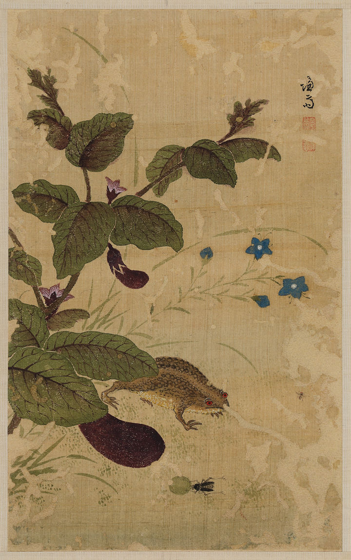 정선 《화훼영모화첩》 <하마가자>두꺼비와 가지ⓒ간송미술문화재단 *재판매 및 DB 금지