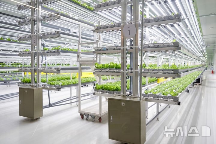 [용인=뉴시스]스마트팜(사진=용인시 제공)2025.05.03. photo@newsis.com