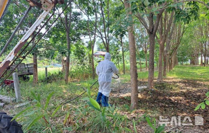 [서울=뉴시스] 현지 방역당국이 소가 도살된 지역을 방역 소독하고 있다. (사진=묵다한주 홍보실 페이스북)