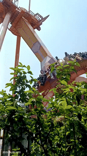 영상=상해일보 *재판매 및 DB 금지 *재판매 및 DB 금지