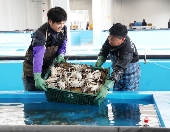 [태안=뉴시스] 지난해 4월8일 충남 태안 신진도항에서 어민들이 갓 잡은 꽃게를 수조로 옮기고 있다. (사진=태안군 제공) 2025.05.04. photo@newsis.com *재판매 및 DB 금지