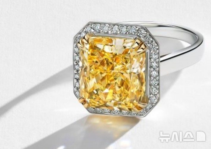 [서울=뉴시스]러시아 역대 가장 큰 다이아몬드 경매 예정. 사진은 기사와 관련 없음. (사진 = 알로사 홈페이지 캡처)