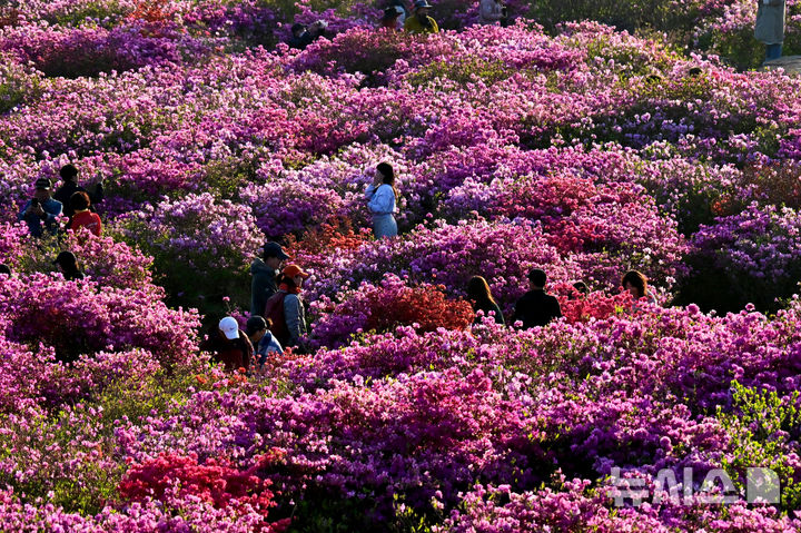 울산, 맑다가 오후부터 구름 많음…최고기온 25도