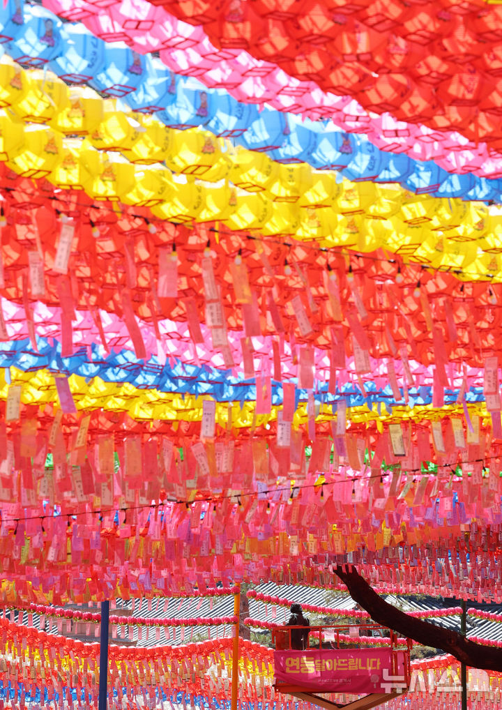 [서울=뉴시스] 이영환 기자 = 부처님오신날을 하루 앞둔 4일 오후 서울 종로구 조계사에서 관계자가 연등을 달고 있다. 2025.05.04. 20hwan@newsis.com