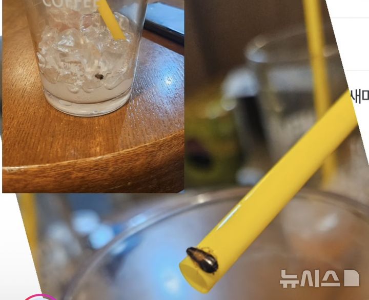 [서울=뉴시스] 다 마신 음료 컵 안에서 바퀴벌레로 추정되는 벌레를 발견한 고객이 본사의 미흡한 대응에 분노했다. (사진=인스타그램)