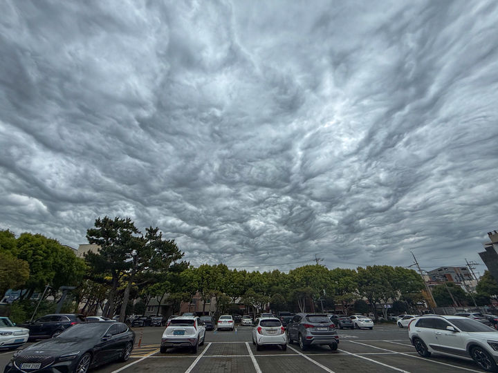 [제주=뉴시스] 5일 오전 제주도청 하늘에 거친물결구름이 관찰됐다. 구름 속 공기 덩어리 파동이 구름 안에 갇혀서 올라갔다 내려갔다를 반복하게 되는데, 그때 구름 아래가 물결치듯 일렁이게 되는 현상이다. (사진=독자 고기철씨 제공) 2025.05.05. photo@newsis.com
