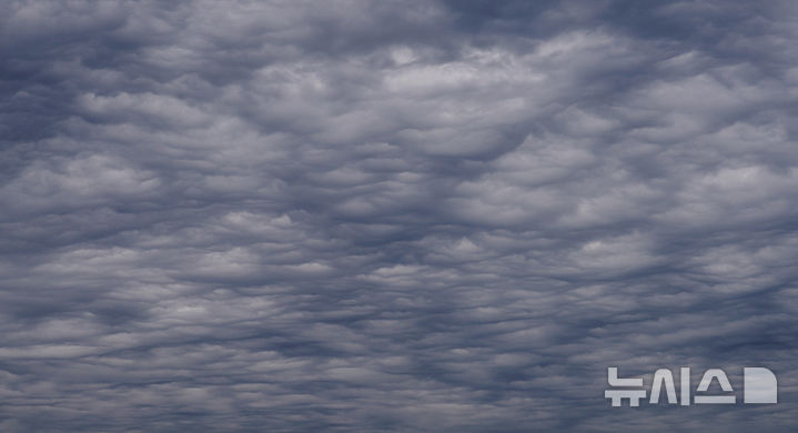 울산, 대체로 흐림…아침 최저 21도·낮 최고 26도