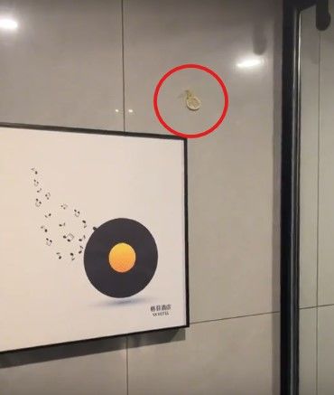 [서울=뉴시스]최근 중국에서 한 여성 블로거가 투숙한 호텔의 객실 위생 상태를 공개적으로 문제 삼으며 논란이 일고 있다.(사진=시나뉴스) *재판매 및 DB 금지