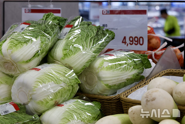 [서울=뉴시스] 김명년 기자 = 서울시내 한 대형마트에 배추가 진열돼 있다. 2025.05.06. kmn@newsis.com