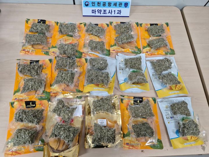 [인천공항=뉴시스] 3.1㎏의 대마초를 건망고 안에 밀봉시켜 국내로 반입하려던 태국인 2명이 인천공항에서 붙잡혔다. 사진은 이들이 건망고 속에 밀봉한 대마초. 2025.05.07. (사진=인천공항본부세관 제공) photo@newsis.com *재판매 및 DB 금지