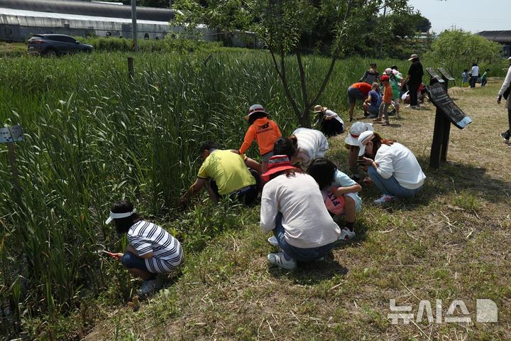 [시흥=뉴시스] 지난해 열린 '물자라와 떠나는 호조벌 둠벙 탐험' 현장. (사진=시흥시 제공). 2025.05.07. photo@newsis.com