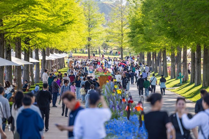 [순천=뉴시스] 관람객으로 북적이는 순천만국가정원 낙우송길. (사진=순천시 제공) 2025.05.07. photo@newsis.com *재판매 및 DB 금지