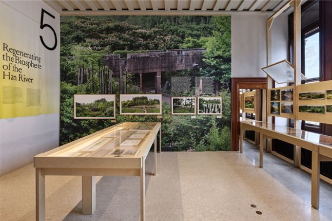 베니스 정영선 전시 전경 ⓒ김용관, 국립현대미술관 제공 *재판매 및 DB 금지