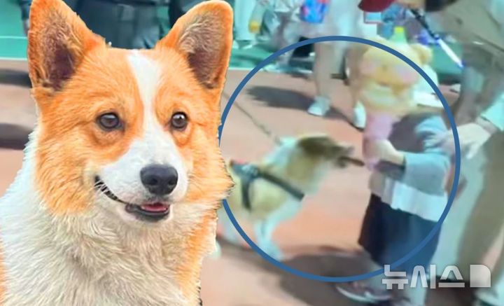 [서울=뉴시스](사진=사우스차이나모닝포스트)