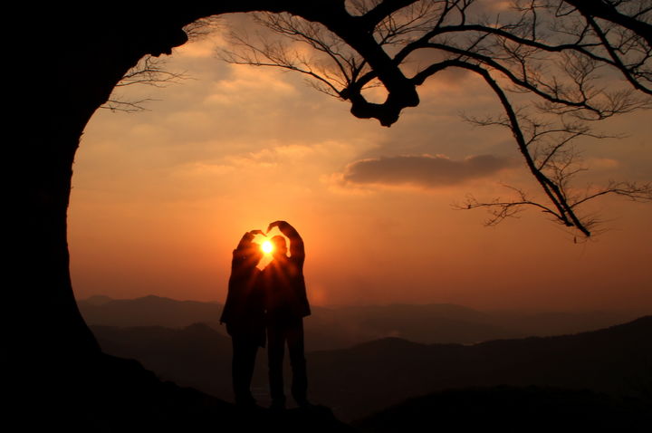 [부여=뉴시스] 부여군 가림성 사랑나무. (사진= 부여군 제공) *재판매 및 DB 금지