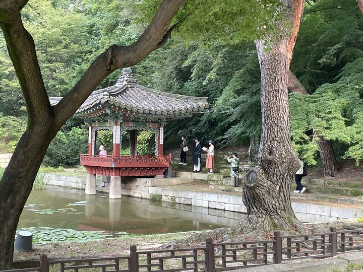 [서울=뉴시스] 창덕궁 후원 '무언자적無言自適, 왕의 아침 정원을 거닐다' 현장 (사진=국가유산청 제공) 2025.05.08. photo@newsis.com *재판매 및 DB 금지