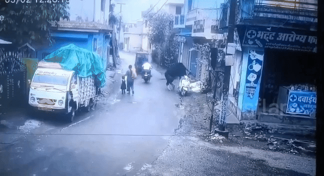 [서울=뉴시스] (사진=docnhanh)&nbsp; *재판매 및 DB 금지 *재판매 및 DB 금지