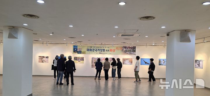 [울산=뉴시스] 조현철 기자 = 8일 울산문예회관 제2전시실에서 최영호 사진작가의 생태사진 전시회가 열리고 있다. 2025.05.05. jhc@newsis.com