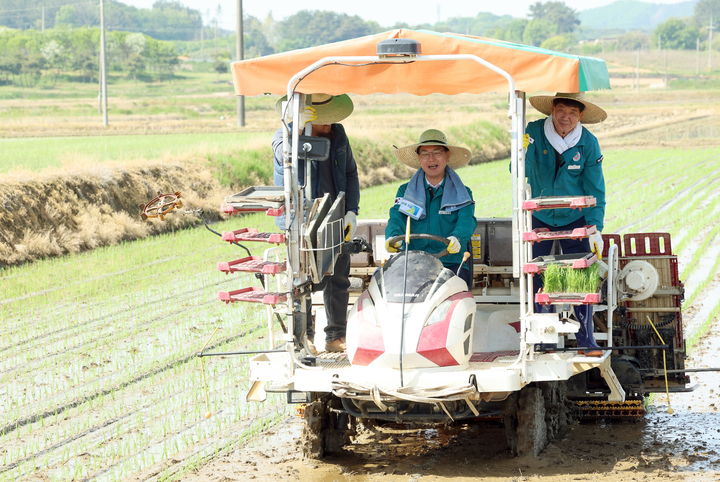 [고창=뉴시스] 8일 오전 심덕섭 고창군수(가운데)와 박성만 군의원(오른쪽)이 신림면 송용리 기범수(50)씨의 논 모내기 현장에서 이앙기에 올라타 직접 모내기를 하고 있다. *재판매 및 DB 금지