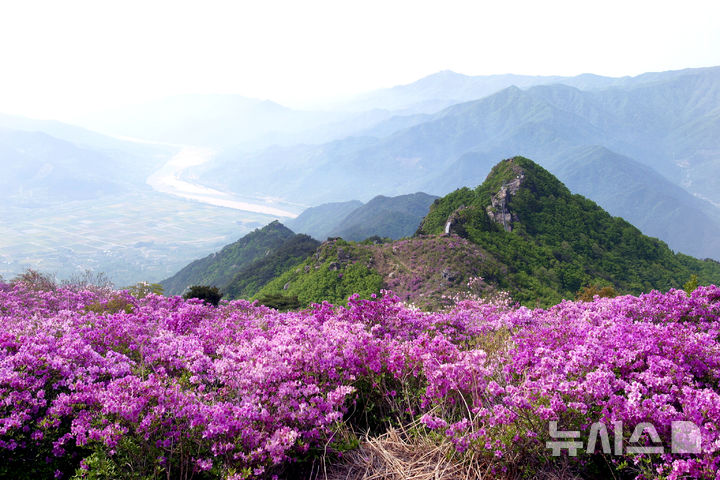 하동군, 10일 제33회 형제봉 철쭉제례 봉행