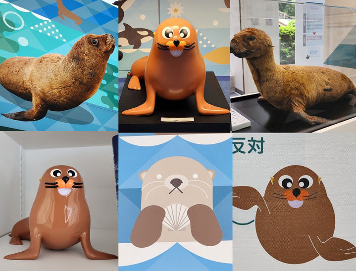 [서울=뉴시스] 일본 도쿄 '영토주권전시관' (사진=서경덕 교수팀 제공) 2025.05.09. photo@newsis.com *재판매 및 DB 금지