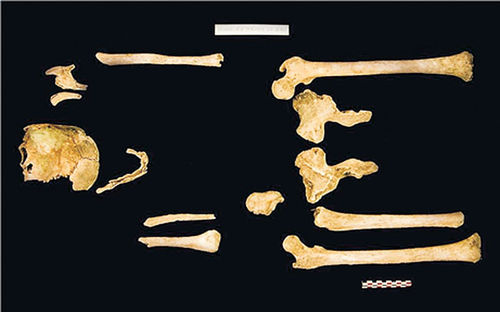 [서울=뉴시스] 故 강성순 하사의 유해. (사진=국방부 제공) 2025.05.09. photo@newsis.com *재판매 및 DB 금지