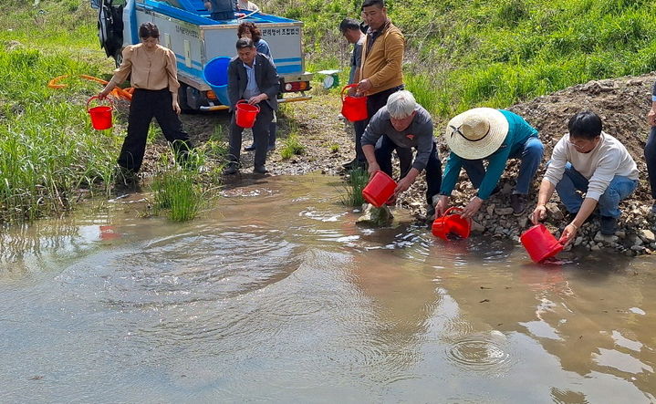 [순창=뉴시스] 순창군 직원과 주민들이 복흥면 추령천에서 동자개 치어를 방류하고 있다. *재판매 및 DB 금지
