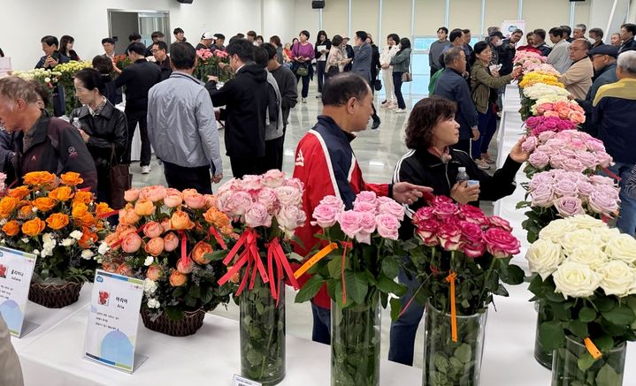 [수원=뉴시스] 9일 한국화훼농협 고양화훼유통센터 대회의실에서 열린 '장미 신품종 및 육성계통 평가회'. (사진=경기도 제공) 2025.05.09. photo@newsis.com *재판매 및 DB 금지
