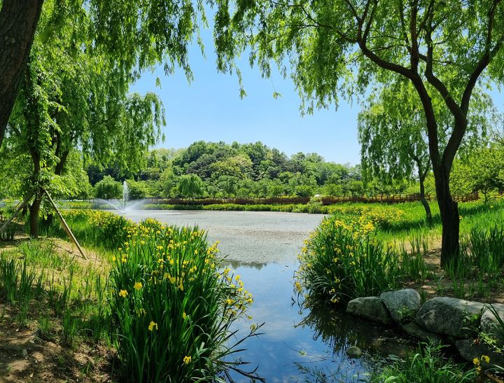 [거창=뉴시스] 거창창포원&nbsp; 연못 (사진=거창군 제공) 2025. 05. 09. photo@newsis.com&nbsp;&nbsp; *재판매 및 DB 금지