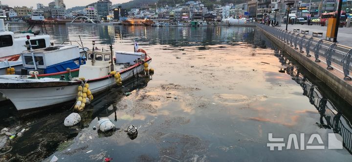 [통영=뉴시스] 신정철 기자= 경남 통영시의 주요 관광 명소인 강구안이 지난 11일 오후 통영시 중앙동·동호동 연안인 강구안에는 둥둥 떠다니는 해상 쓰레기와 육지에서 흘러든 오염물질로 뒤덮였다. 2025.05.12. sin@newsis.com