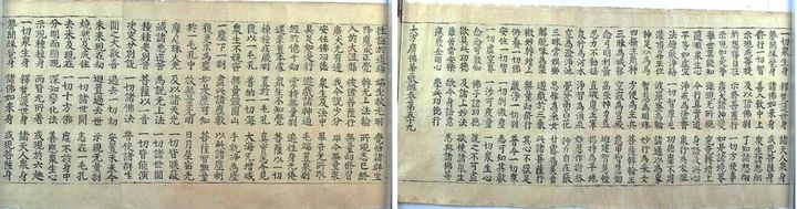 [서울=뉴시스] 초조본 대방광불화엄경 주본 권59 (사진=국가유산청 제공) 2025.05.12. photo@newsis.com *재판매 및 DB 금지