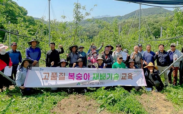 [함양=뉴시스] 함양군, 만생복숭아 적심 및 하계전정 현장교육 (사진=함양군 제공) 2025. 05. 12. photo@newsis.com *재판매 및 DB 금지