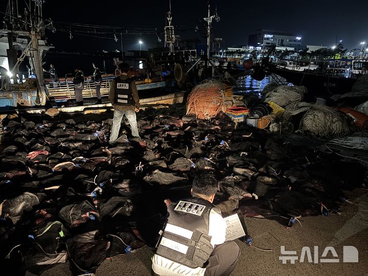 [포항=뉴시스] 경북 포항해양경찰서는 지난 7일 오후 불법으로 포획된 고래를 운반하던 어선을 검거해 어창에서 고래고기를 담은 자루를 전량 압수했다. (사진=포항해양경찰서 제공) 2025.05.12. photo@newsis.com 