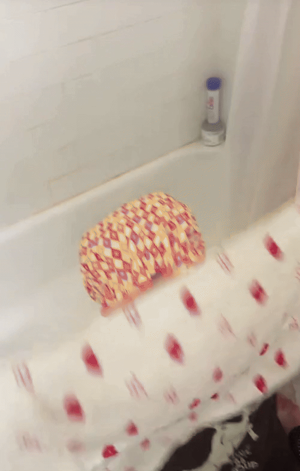 [서울=뉴시스] 사람들의 관심을 끌기 위해 잔인한 방식의 물고문을 재연하는 챌린지가 소셜미디어(SNS) 상에서 유행해 논란이 되고 있다. (사진= 'cassidydiceth' 틱톡 갈무리) 2025.05.12. *재판매 및 DB 금지