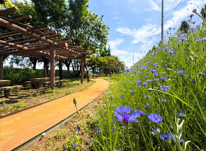 [상주=뉴시스] 정원형 어싱길. (사진=상주시 제공) 2025.05.12 photo@newsis.com *재판매 및 DB 금지