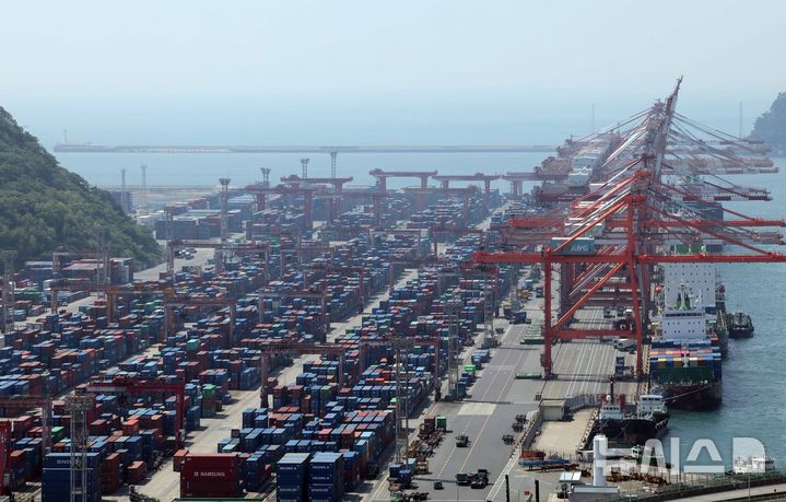 [부산=뉴시스] 하경민 기자 = 부산 남구 신선대부두 야적장에 수출입 컨테이너가 가득 쌓여 있다. 2025.05.12. yulnetphoto@newsis.com