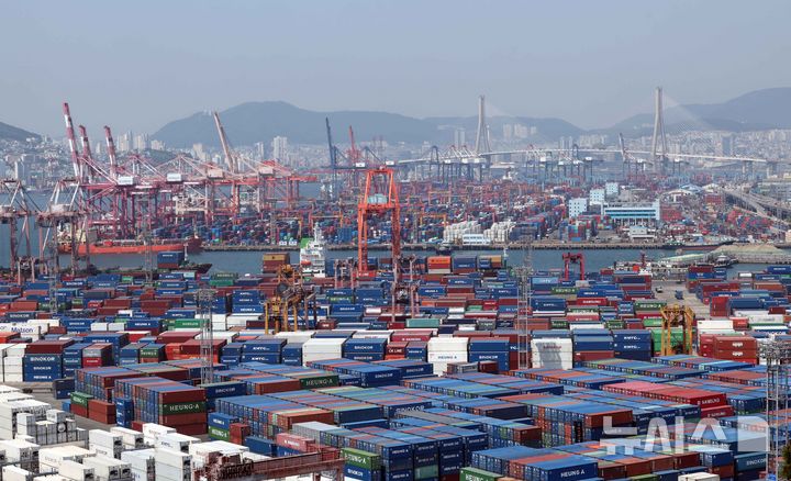 [부산=뉴시스] 하경민 기자 = 관세청에 따르면 지난 1~10일 수출은 전년 동기 대비 23.8%(40억1000만 달러) 감소한 128억 달러, 수입은 15.9%(27억6000만 달러) 줄어든 146억 달러를 기록하는 등 미국발 관세정책으로 불안정한 교역상황 속에서 수출과 수입이 모두 급감했다.&nbsp; 12일 부산 남구 신선대(사진 아래) 및 감만(위) 부두 야적장에 수출입 컨테이너가 가득 쌓여 있다. 2025.05.12. yulnetphoto@newsis.com