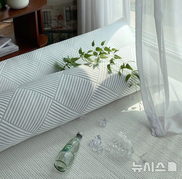 [서울=뉴시스] 한스갤러리의 냉감 바디필로우. (사진= 오늘의집 제공)