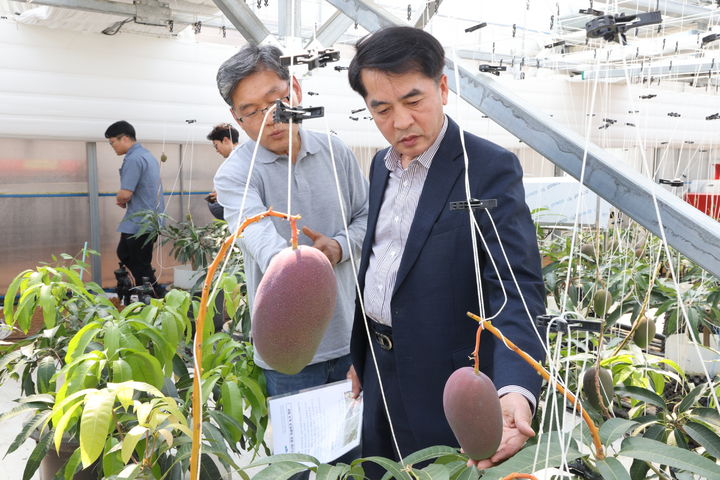 보은군 삼승면 하늘애 농장(사진=보은군 제공) *재판매 및 DB 금지