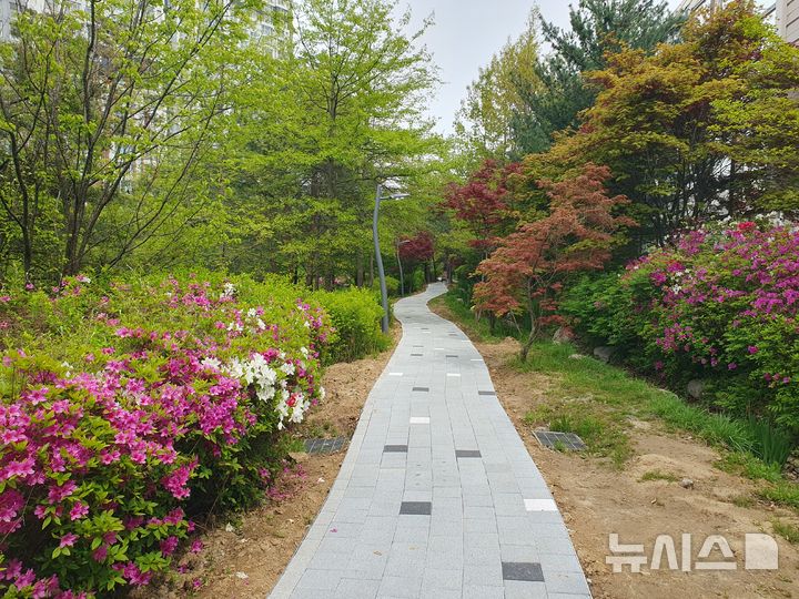 [용인=뉴시스]수지구의 산책로 정비 모습(사진=용인시 수지구청)2025.05.14.photo@newsis.com