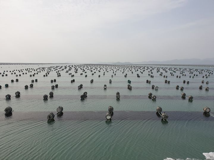 전남 연안어장 재배치. (사진=전남도 제공) *재판매 및 DB 금지