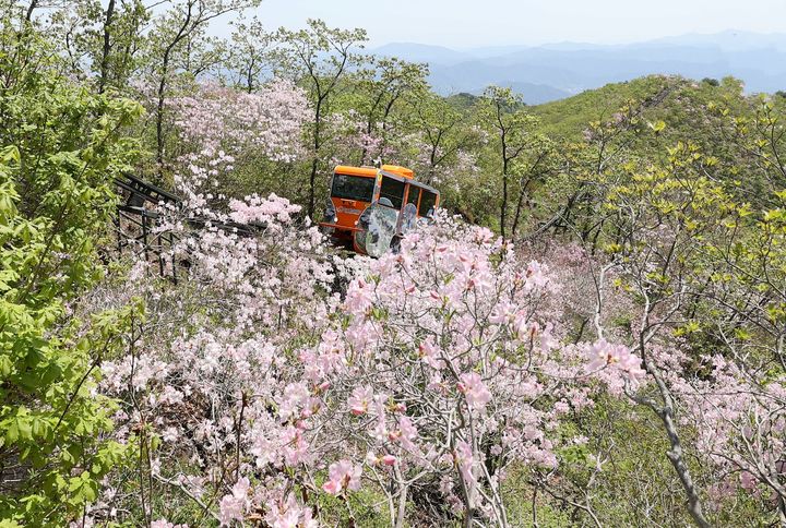 [함양=뉴시스] 대봉산휴양밸리 봄 모노레일 (사진=함양군 제공) 2025. 05. 14. photo@newsis.com *재판매 및 DB 금지