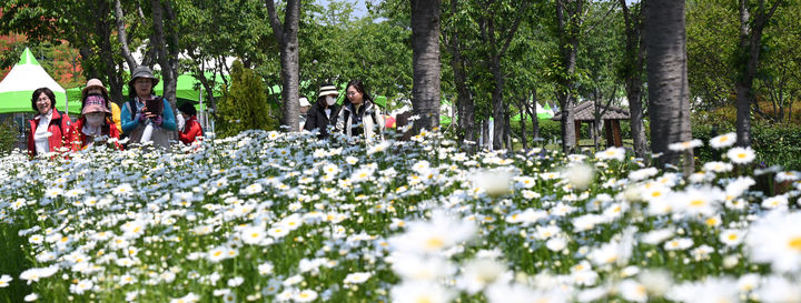 [거창=뉴시스] 거창군 거창에 On 봄축제_창포원 (사진=거창군 제공) 2025. 05. 14. photo@newsis.com&nbsp; *재판매 및 DB 금지
