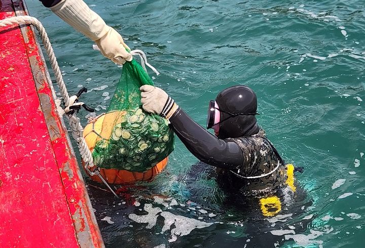 [여수=뉴시스] 사진은 여수시가 수산 자원 회복과 어업 소득 등대를 위해 전복 등 종자를 방류하고 있는 모습. (사진=여수시 제공) 2025.05.14. photo@newsis.com *재판매 및 DB 금지
