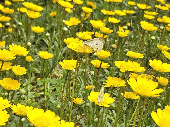 [울산=뉴시스] *재판매 및 DB 금지